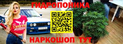 гидра Сланцы